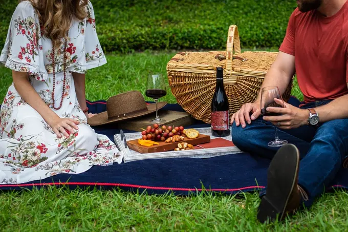 5 perfect picnic wines, according to a wine expert