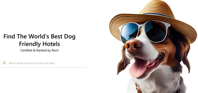 Roch Dog Launches Hotel Industry's First AI-Powered Certification Engine