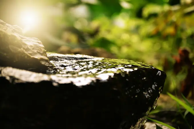 Your 2018 Wellness Resolution: Powering New Profits | By Babs Harrison