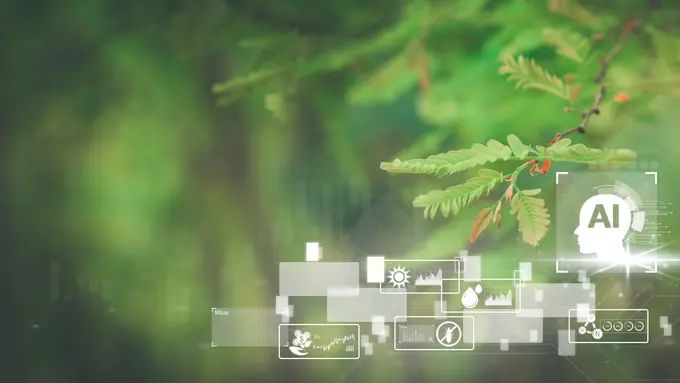 When the Hotel’s AI Acts, Who Is Accountable? Building a Hospitality Agent Governance Architecture