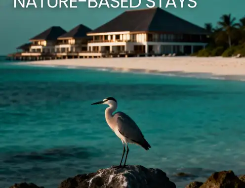 Where Travel Meets Nature: The Rise of Nature-Based Stays