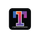 Hotel Internet Services Logo