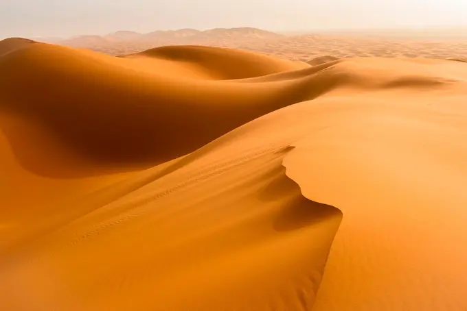 What the Desert Already Knows