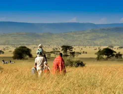 Lemala Camps & Lodges Unveils 2025