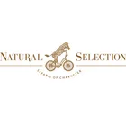 Natural Selection