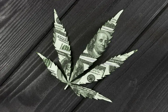 Investing in Cannabis: Is the Grass Greener for Investors?