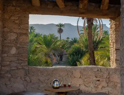 The oasis of Tizkmoudine, Morocco