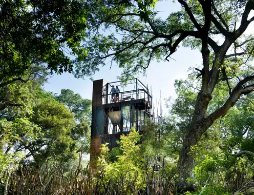 andBeyond Ngala Treehouse Lodge