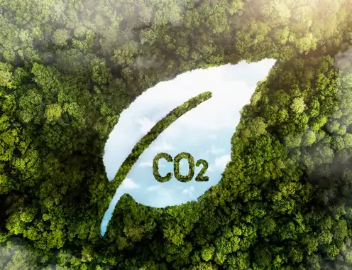 Short guide to CCUS technologies: How carbon tracking helps