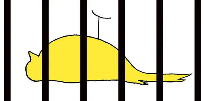The Canary in the NOI Mine Is Getting Sick | By Steve Van