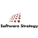 Software Strategy, LLC