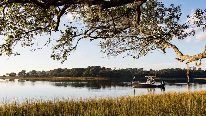 The Dunlin, Auberge Resorts Collection ......