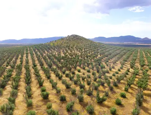 The Chatwal Valle de Guadalupe