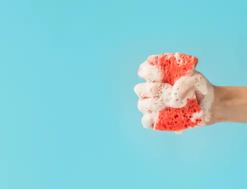 Embracing the sponge mentality: The pathway to leadership