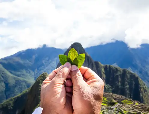 Sustainable Travel Immersion at Its Peak with Sumaq Machu Picchu Hotel