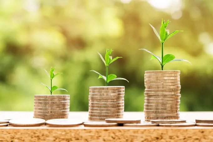 HVS Monday Musings: Being Frugal in 2021