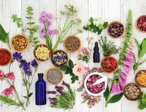 The Holistic Lifestyle: Can Naturopathy, Herbal Mixology, and Other Holistic Practices Be Applied in U.S. Hotels?
