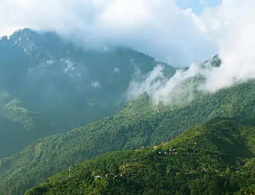 Holiday Inn Resort Dharamshala