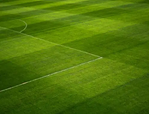 How to turn the 2026 World Cup into your hotel website's direct booking moment