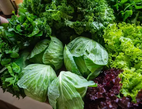 The Kitchen as Climate Lever: How Hotel Chefs Are Driving Sustainability