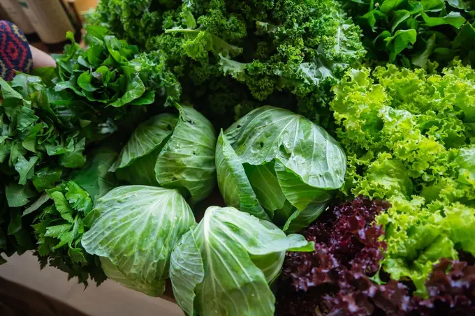The Kitchen as Climate Lever: How Hotel Chefs Are Driving Sustainability