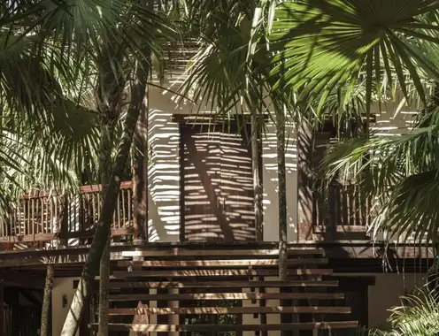 Tulum Treehouse