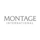 Montage International