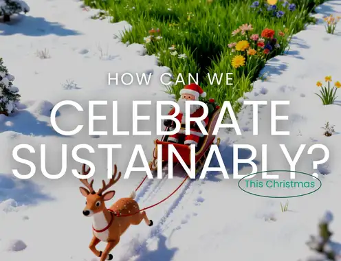 Sustainable Gift Ideas: Embracing a Green Christmas