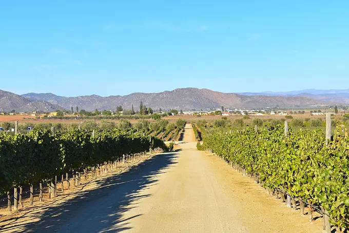 Dream Hotel Valle de Guadalupe ......