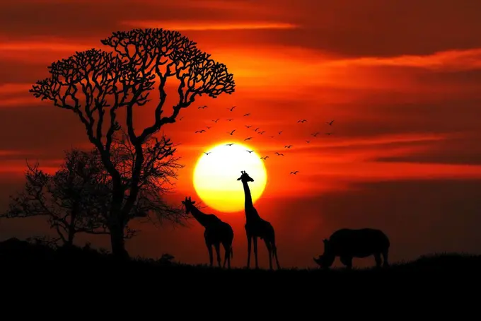 Gonna Take Some Time To Do The Things We Never Had: Why Africa Needs A New, Local-based Strategy Right Now | By Simone Puorto
