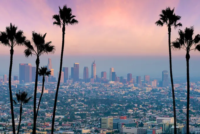 Can Los Angeles "Digest" the Olympics?