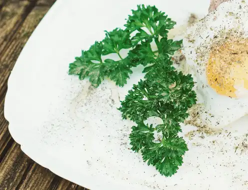The featured dish from The Shed at Dulwich.