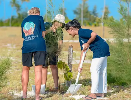 Rooted in Community: Four Seasons Resort Maldives at Kuda Huraa Unveils Bodu Huraa Tree Planting Project