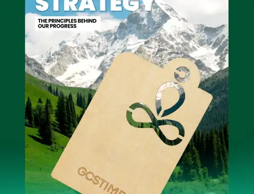 GCSTIMES Sustainability Strategy in Action: The Principles Behind Our Progress