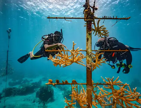 Love in Action: Sandals Resorts Releases Corporate Social Responsibility Report in Celebration of Earth Month