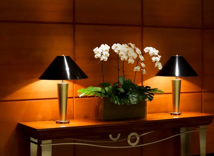 Why Warm Lighting Wins Guest Loyalty