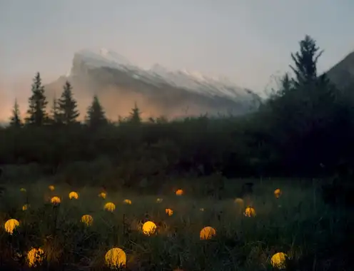 Hospitality at Crossroads: From Service Industry to Wellbeing Stewardship