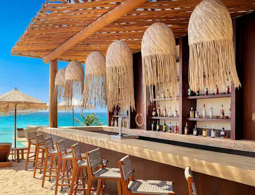 Hyatt Vivid Punta Cana