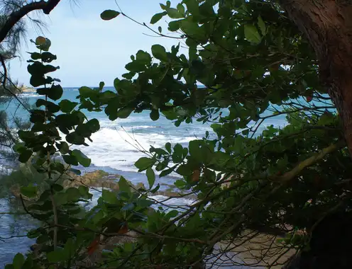 Who Cares About the Future Sustainability of Caribbean Resorts?
