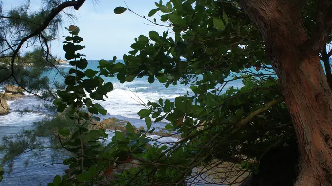 Who Cares About the Future Sustainability of Caribbean Resorts?