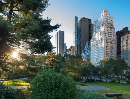 The Ritz-Carlton New York, Central Park