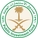 Public Investment Fund (PIF)
