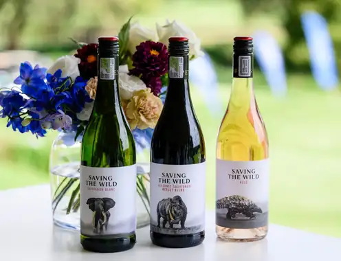 Minor Hotels Partners with Saving the Wild to Launch Wine Collection in Support of Conservation
