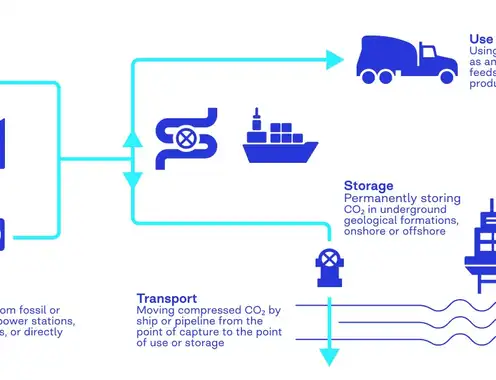 Carbon utilization