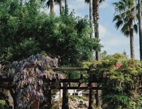 The Mille Club: Exploring SoCal Luxury at El Encanto, a Belmond Hotel