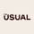 The Usual Social Logo