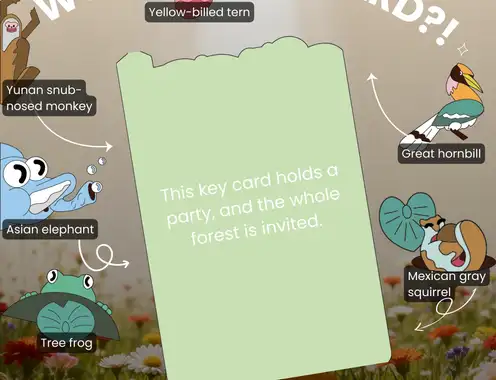 A Forest Party in the Palm of Your Hand: Turning a Key Card into a Story of Nature