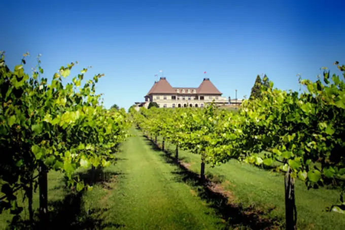 Chateau Elan Winery & Resort ......