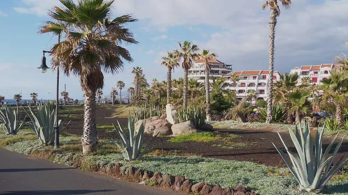 The best holiday experience with family and friends in Tenerife and Majorca