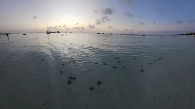The Fragile Ecosystem of Revenue Management aka. what a beach in Zanzibar taught me